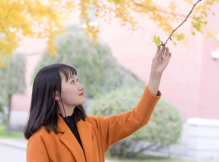 菲律宾大使馆过年办业务吗